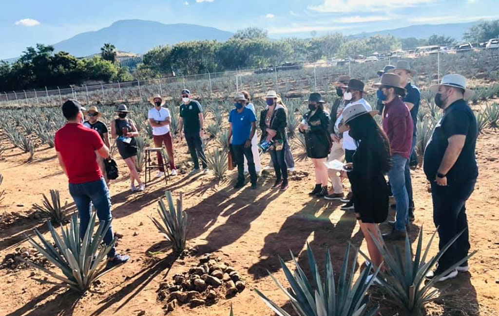 Agave Tours